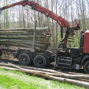 Grumes de Châtaignier – Camion 50 stères de bois dur français – Séchage naturel et écologique